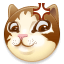 dog4
