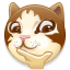 dog6