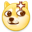dog7